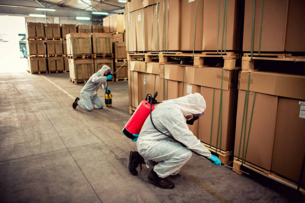 Best Flea Control Services  in San Joaquin, CA