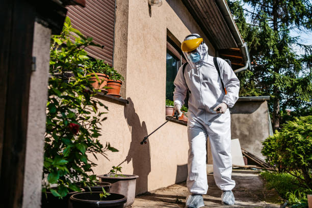 Best Rodent Control Near Me  in San Joaquin, CA