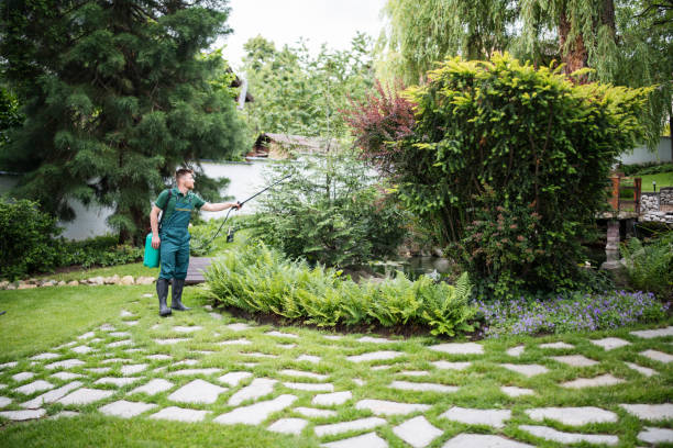 Reliable San Joaquin, CA Pest Control Solutions