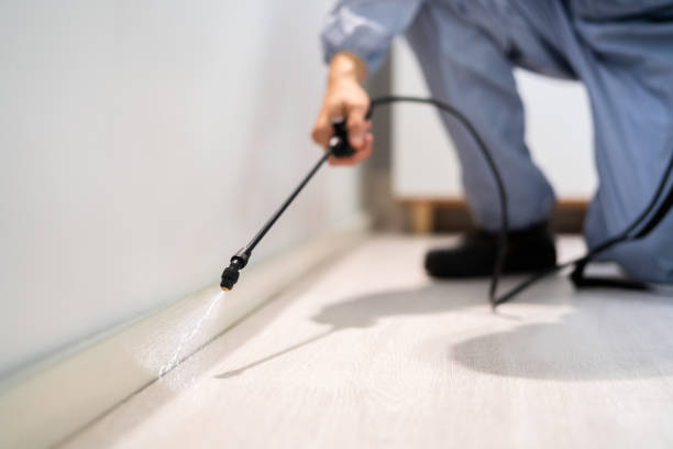 Best Pest Prevention Services  in San Joaquin, CA