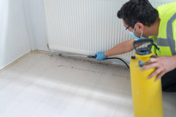 Best Bed Bug Extermination  in San Joaquin, CA