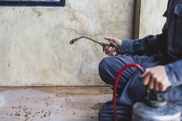 Pest Control Cost in San Joaquin, CA